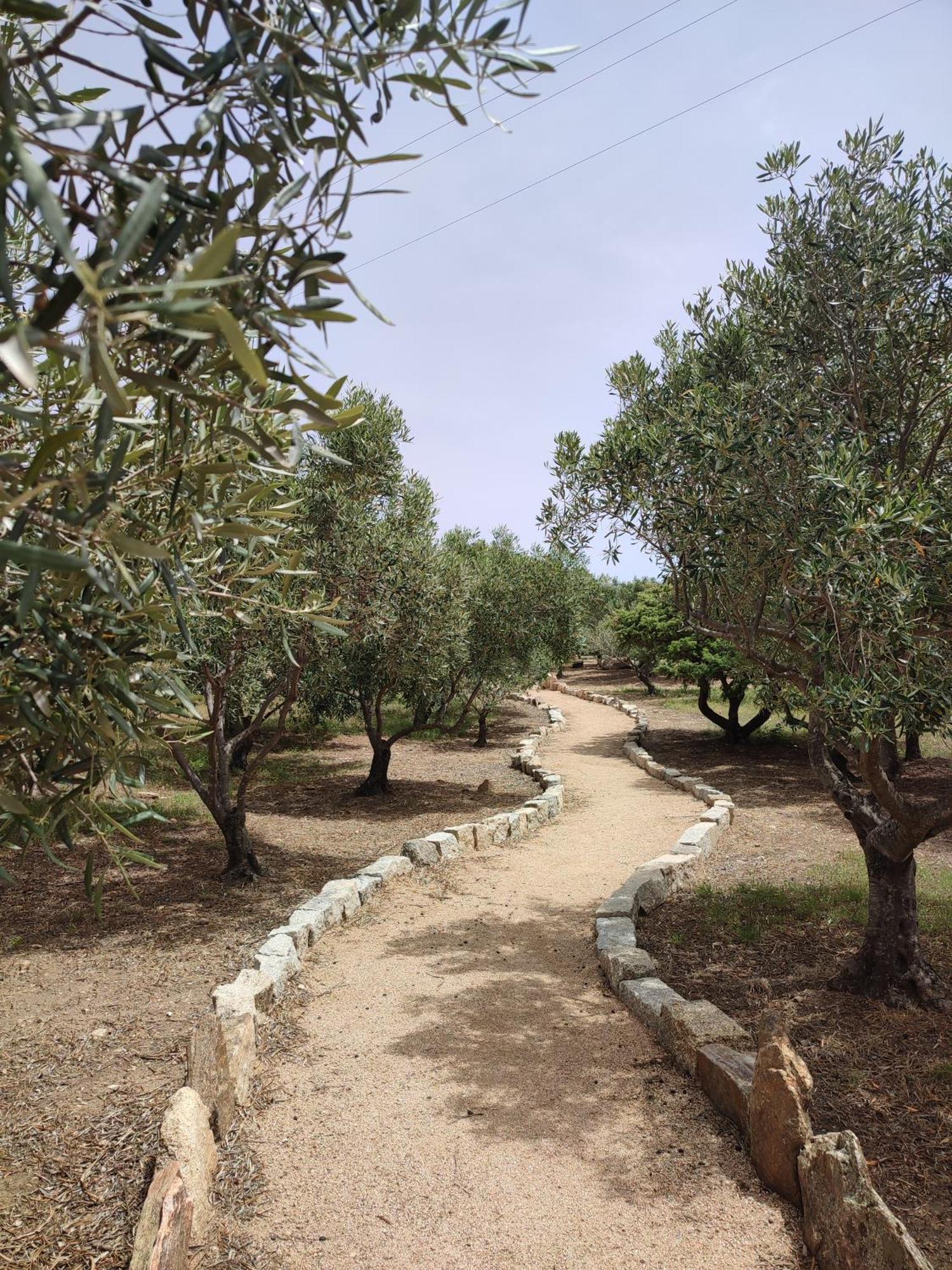 Stazzu Barecca B&B Cugnana Verde Exterior photo